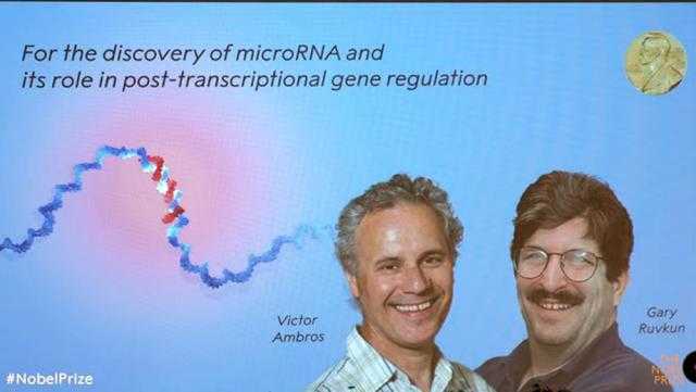 노벨 생리의학상에 '마이크로RNA 발견' 앰브로스·러브컨